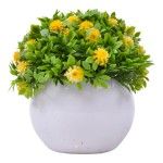 PLANTA C/ VASO 2440-020 CX144