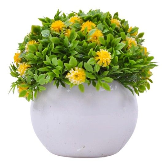 PLANTA C/ VASO 2440-020 CX144 PLANTA C/ VASO 2440-020 CX144