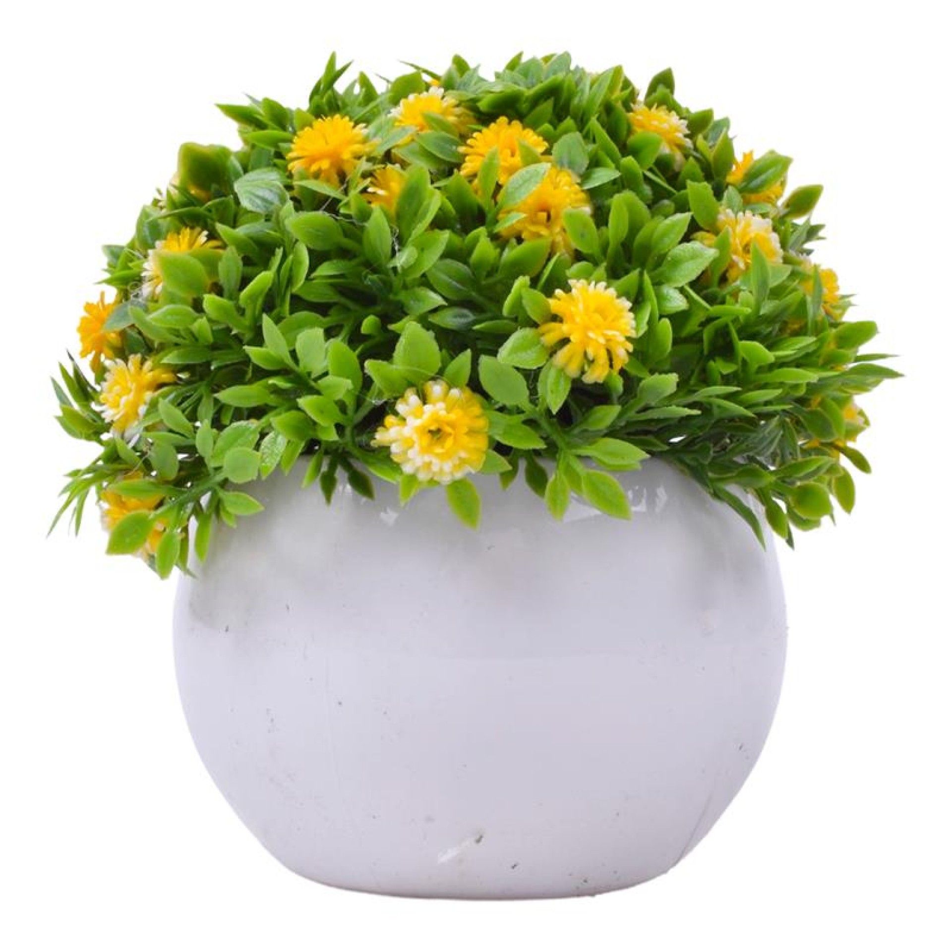 PLANTA C/ VASO 2440-020 CX144 PLANTA C/ VASO 2440-020 CX144