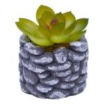 VASO C/CATO 6.5X5.5CM 2639-200 CX96