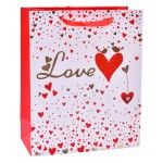 SACO 32X26X12CM 3025-000-02 CX300