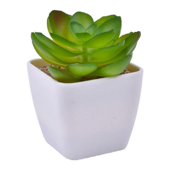 VASO C/CATO 4.5X4.5X4.8CM 2639-000 CX240 VASO C/CATO 4.5X4.5X4.8CM 2639-000 CX240