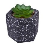 VASO DEC 2574-004 CX60