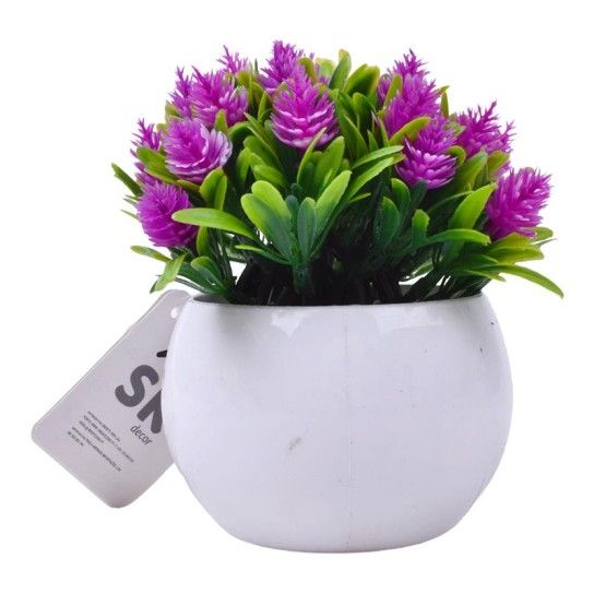 PLANTA C/ VASO 2440-023 CX144