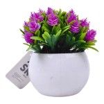 PLANTA C/ VASO 2440-023 CX144