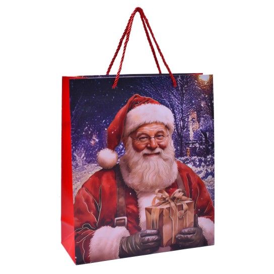 SACO PAPEL 40X31X12CM 2710-015-02 CX240 SACO PAPEL 40X31X12CM 2710-015-02 CX240