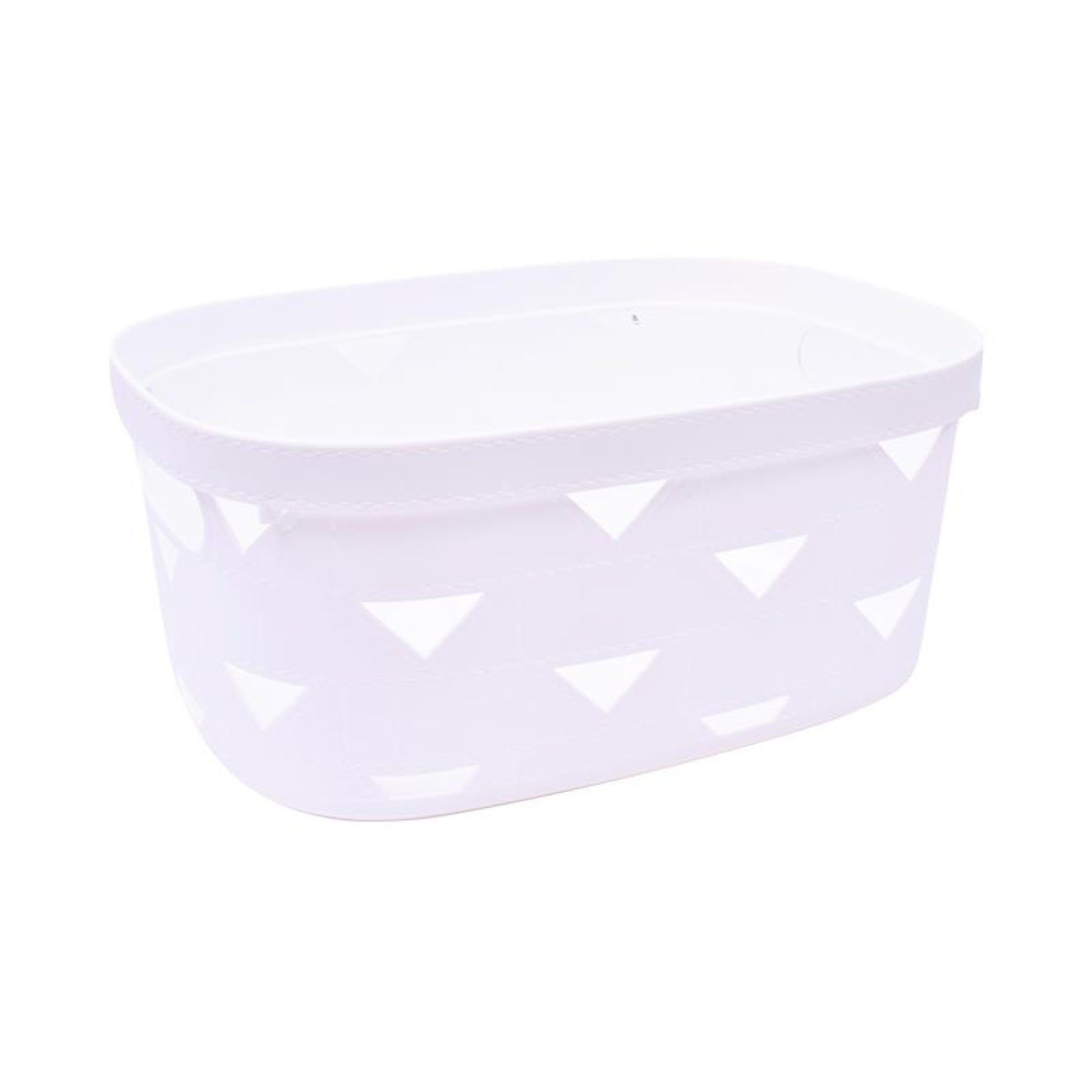 CESTO PLAST C/ASAS 2630-523 CX100