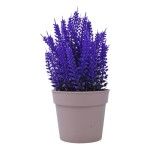 PLANTA C/ VASO 2440-014 CX144