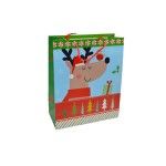 SACO NATAL 18x23x10 2419-010 CX360