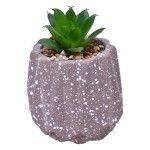 VASO DEC 2574-002 CX72