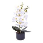 VASO C/FLOR 53 2439-117 CX12