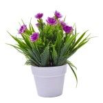 PLANTA VASO 10X20 2440-008 CX216