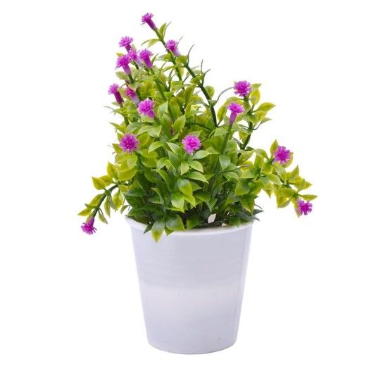 PLANTA C/ VASO 2647-004-01 CX144 PLANTA C/ VASO 2647-004-01 CX144