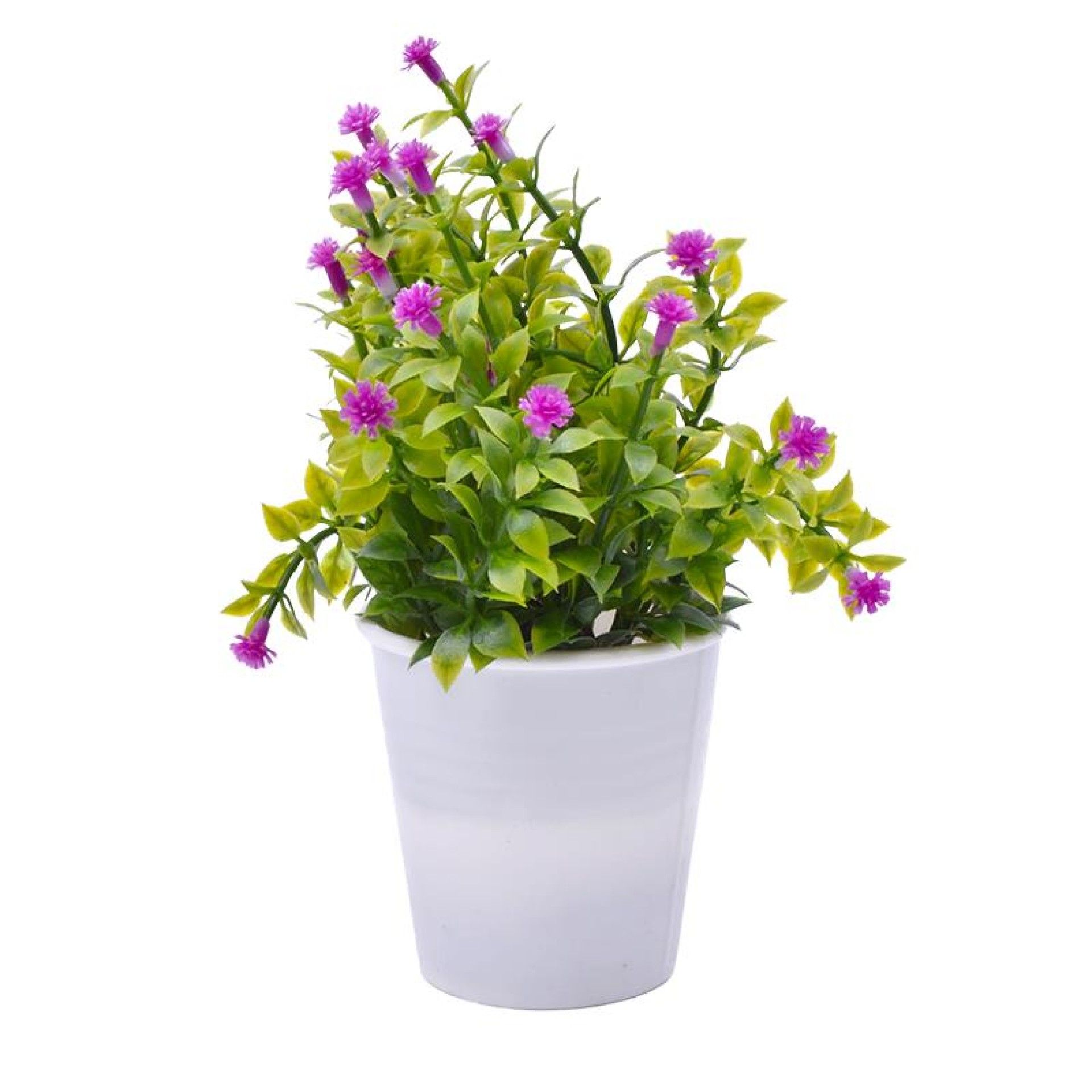 PLANTA C/ VASO 2647-004-01 CX144 PLANTA C/ VASO 2647-004-01 CX144