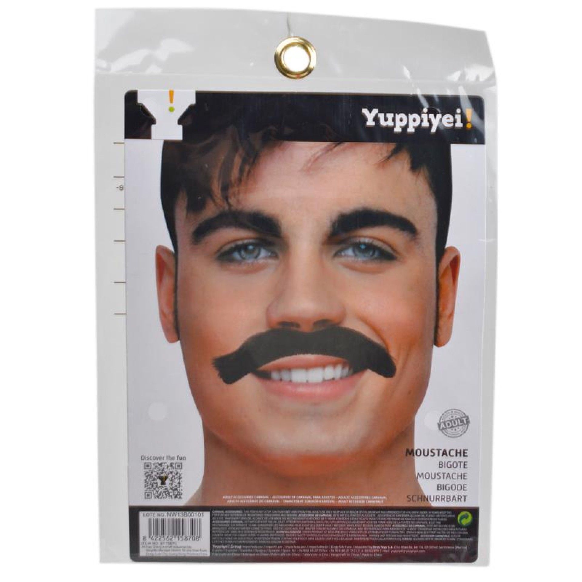 CARNAVAL BIGODE