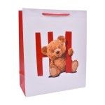 SACO 26x32x12CM 2419-506-01 CX240