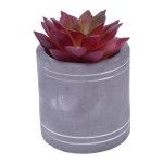 VASO C/CATO 6.3X6.3CM 2639-202 CX96 VASO C/CATO 6.3X6.3CM 2639-202 CX96