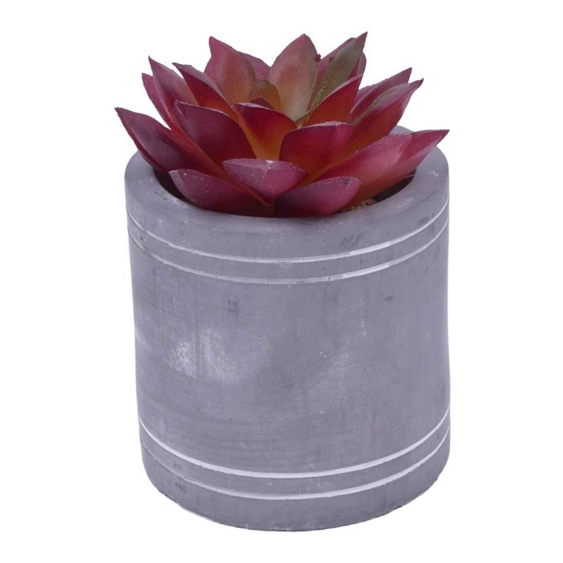 VASO C/CATO 6.3X6.3CM 2639-202 CX96 VASO C/CATO 6.3X6.3CM 2639-202 CX96