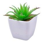 VASO C/CATO 4.5X4.5X4.8CM 2639-000 CX240 VASO C/CATO 4.5X4.5X4.8CM 2639-000 CX240