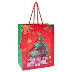 SACO PAPEL 23X18X10CM 2994-051 CX360