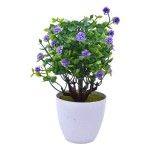 PLANTA VASO 15X23 2440-011 CX144