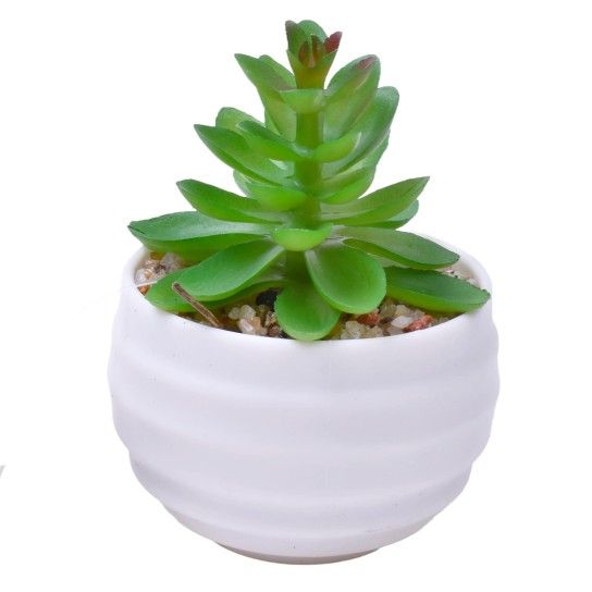 PLANTA C/VASO 6X4,5CM 2884-007-01 CX192