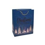 SACO PRESENTE NAT 26x32x12CM2419-014-01