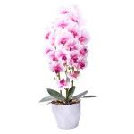 VASO C/FLOR 76 2439-120 CX8