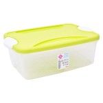 PLASTICO CAIXA RECT. MICRO 2L 17256