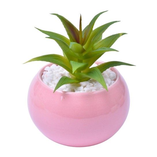 VASO C/CACTO 2070-42-01 CX48 VASO C/CACTO 2070-42-01 CX48