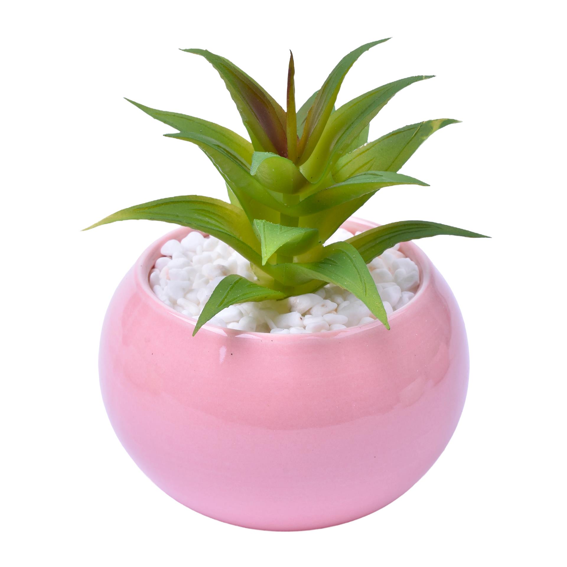 VASO C/CACTO 2070-42-01 CX48 VASO C/CACTO 2070-42-01 CX48