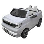 CARRO ELET INF 57X77X108CM 3004-101 CX1