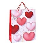SACO 41,5X30X12CM 3019-200-02 CX180