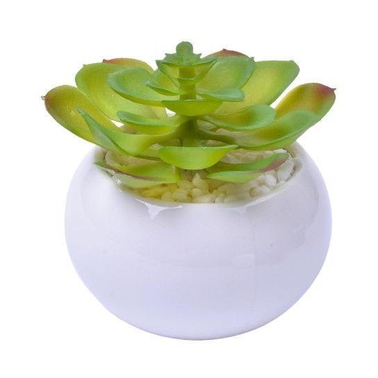 VASO C/CACTO 8,5X6 2070-42 CX48