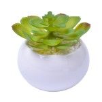 VASO C/CACTO 8,5X6 2070-42 CX48