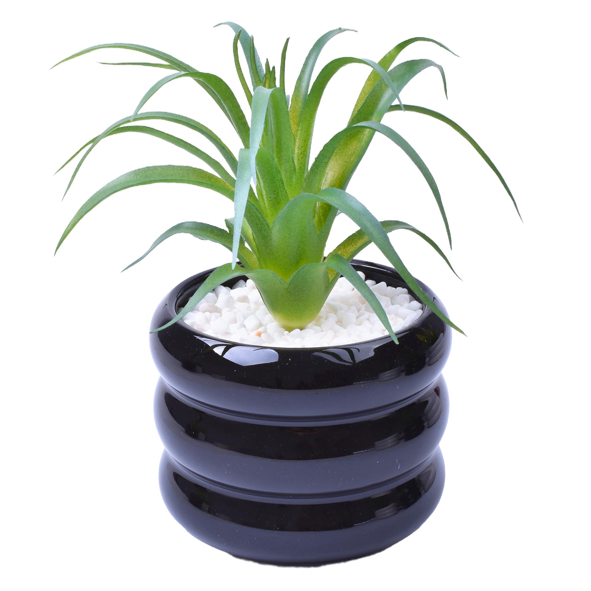 VASO C/CACTO 8,5X7 2070-43 CX48 VASO C/CACTO 8,5X7 2070-43 CX48