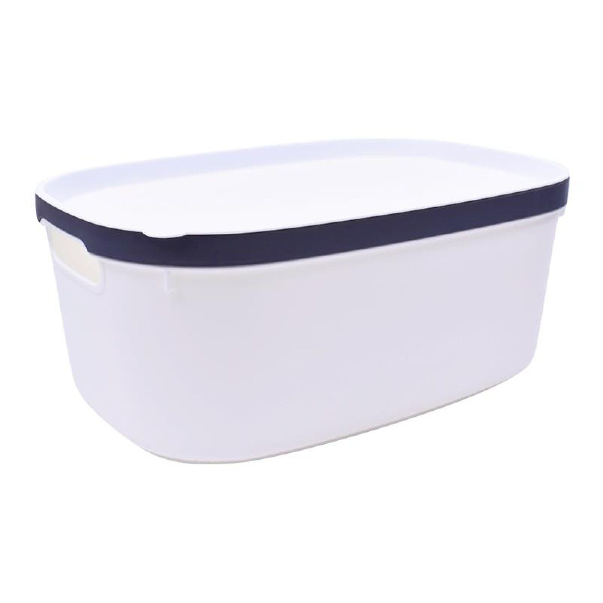 CESTO PLAST C/ASAS 2630-512-02 CX48 CESTO PLAST C/ASAS 2630-512-02 CX48