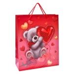 SACO 42X31X12CM 3024-201-02CX180