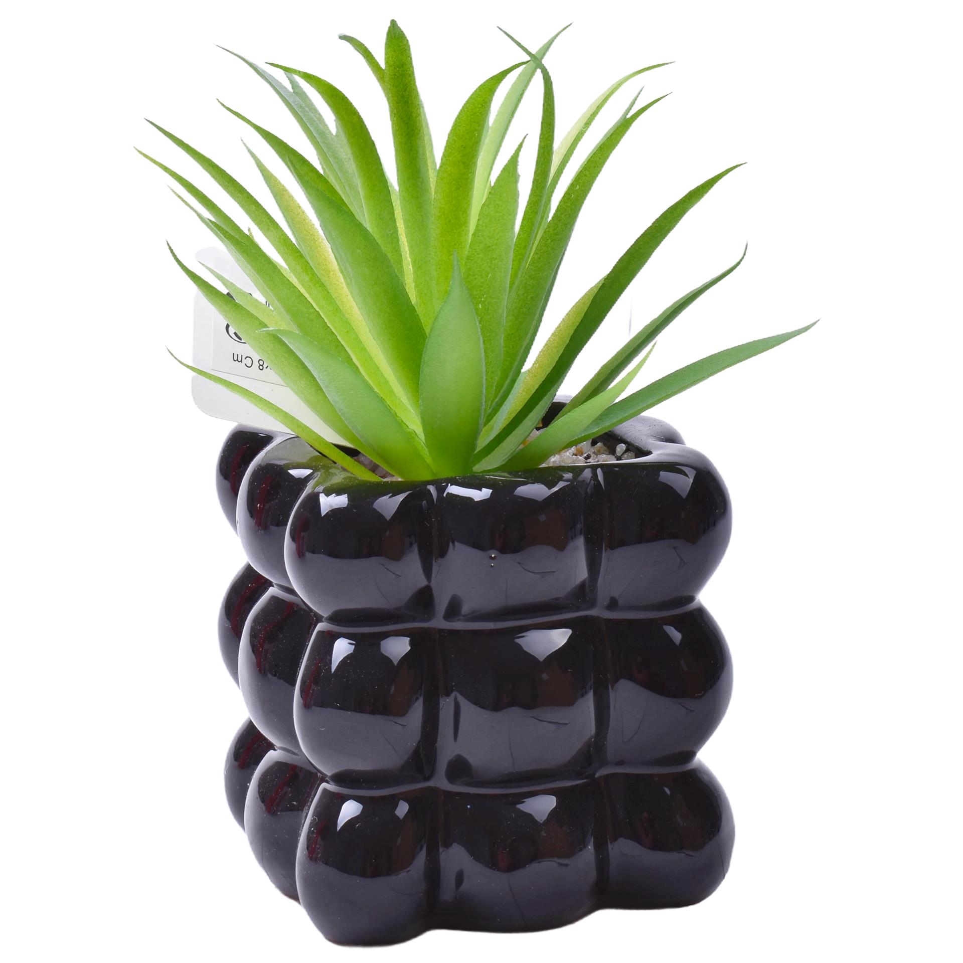 PLANTA C/VASO 8X8X8CM 2884-008-01 CX96 PLANTA C/VASO 8X8X8CM 2884-008-01 CX96