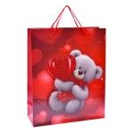 SACO 42X31X12CM 3024-201-02CX180
