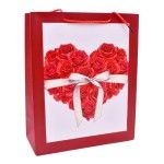 SACO 26x32x12CM 2419-505-01 CX240