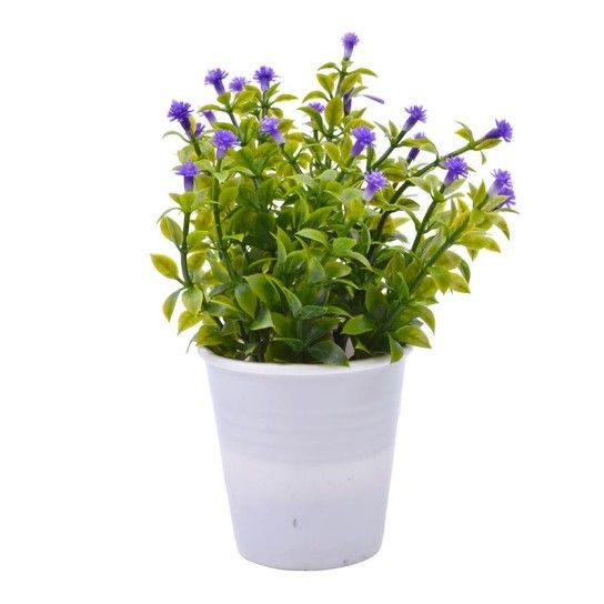 PLANTA C/ VASO 2647-004-01 CX144 PLANTA C/ VASO 2647-004-01 CX144