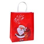 SACO NATAL 27X21X11CM 2317-911-01 CX180
