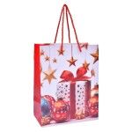 SACO PAPEL 23X18X10CM 2994-000 CX360