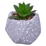 VASO DEC 2574-003 CX72