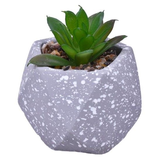 VASO DEC 2574-003 CX72 VASO DEC 2574-003 CX72