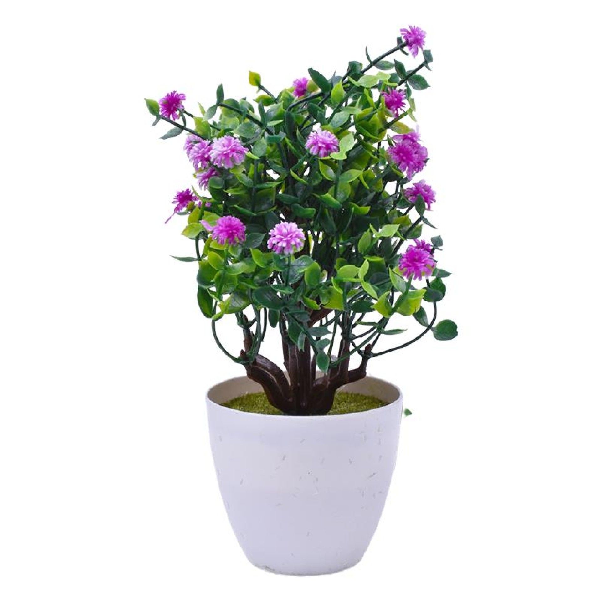 PLANTA VASO 15X23 2440-011 CX144 PLANTA VASO 15X23 2440-011 CX144