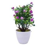 PLANTA VASO 15X23 2440-011 CX144