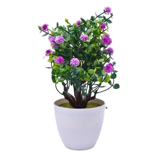 PLANTA VASO 15X23 2440-011 CX144 PLANTA VASO 15X23 2440-011 CX144