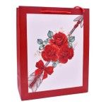 SACO 26x32x12CM 2419-505-01 CX240
